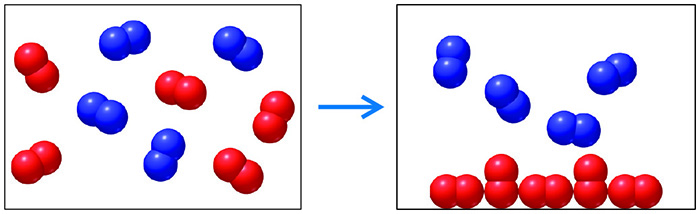 Question & Answer: In the reactant frame on the left, the red and blue molecules adopt the shape of the container..... 1
